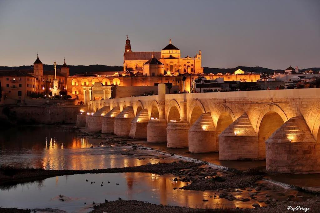 Apartamento Loft Al-Nasir Junto Al Casco Historico Córdoba Exterior foto